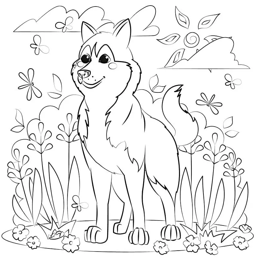 Husky Para Colorear 50