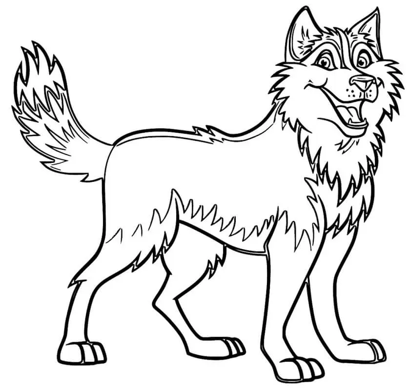 Husky Para Colorear 56