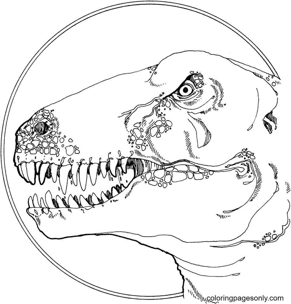 Jurassic World Coloring Pages 101