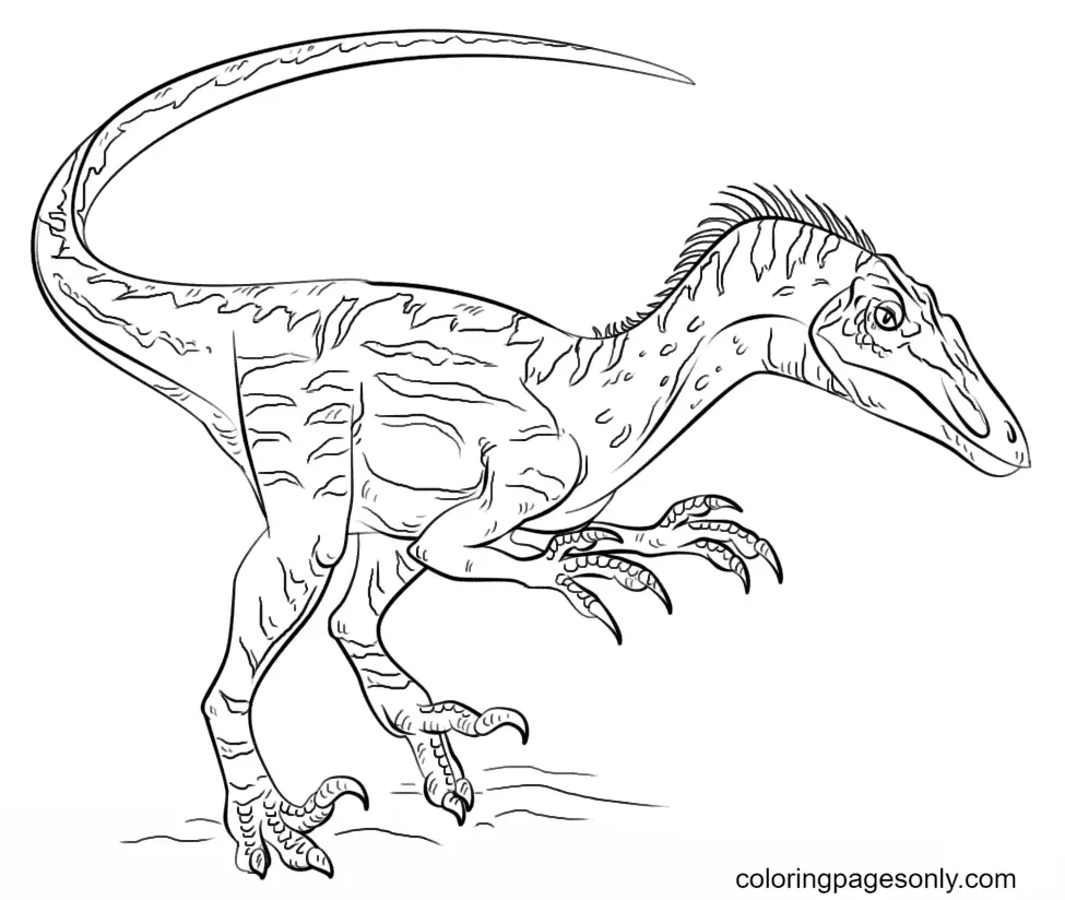 Jurassic World Coloring Pages 15