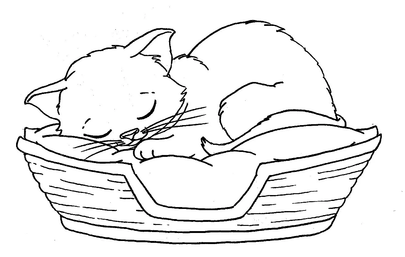 Desenhos de Gatinhos Para Colorir 49