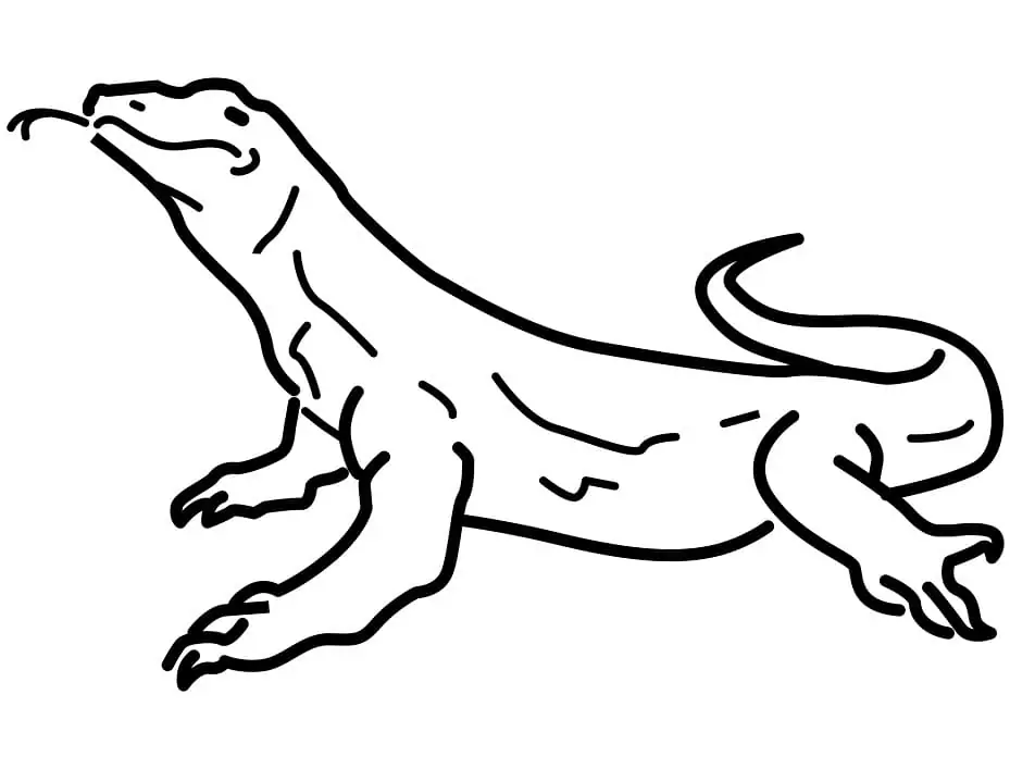 Desenhos De Dinossauros Para Colorir