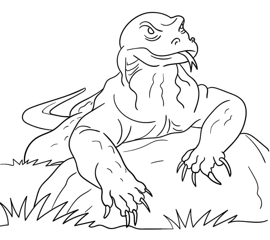 Dragao de Komodo Para Colorir 3