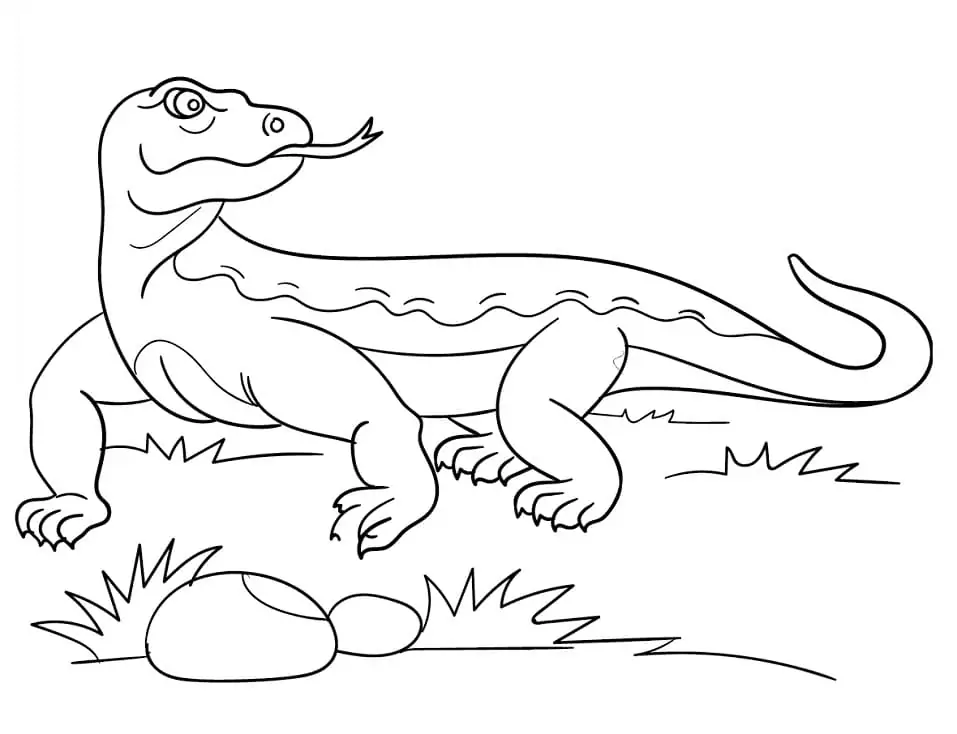 Dragao de Komodo Para Colorir 4