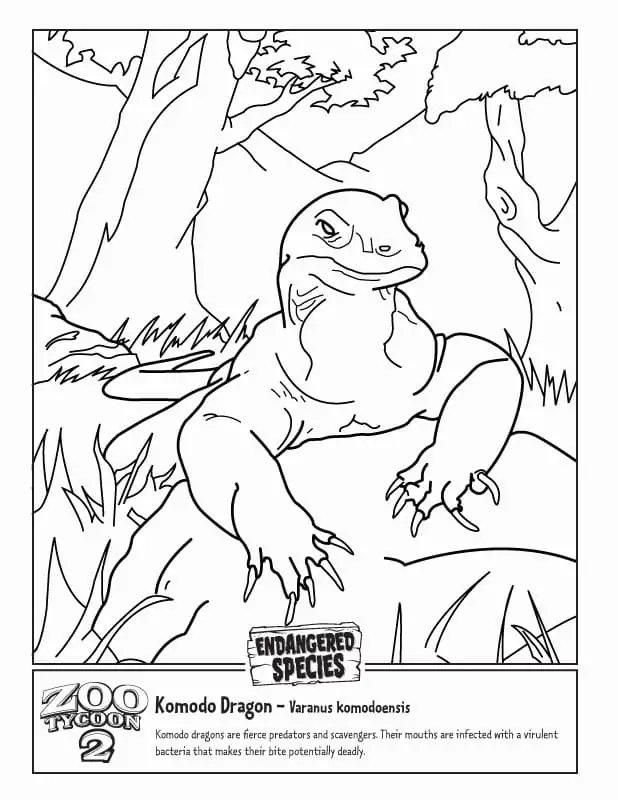 Dragao de Komodo Para Colorir 6