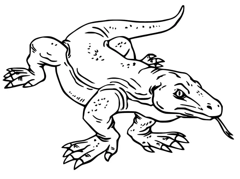 Dragao de Komodo Para Colorir 8