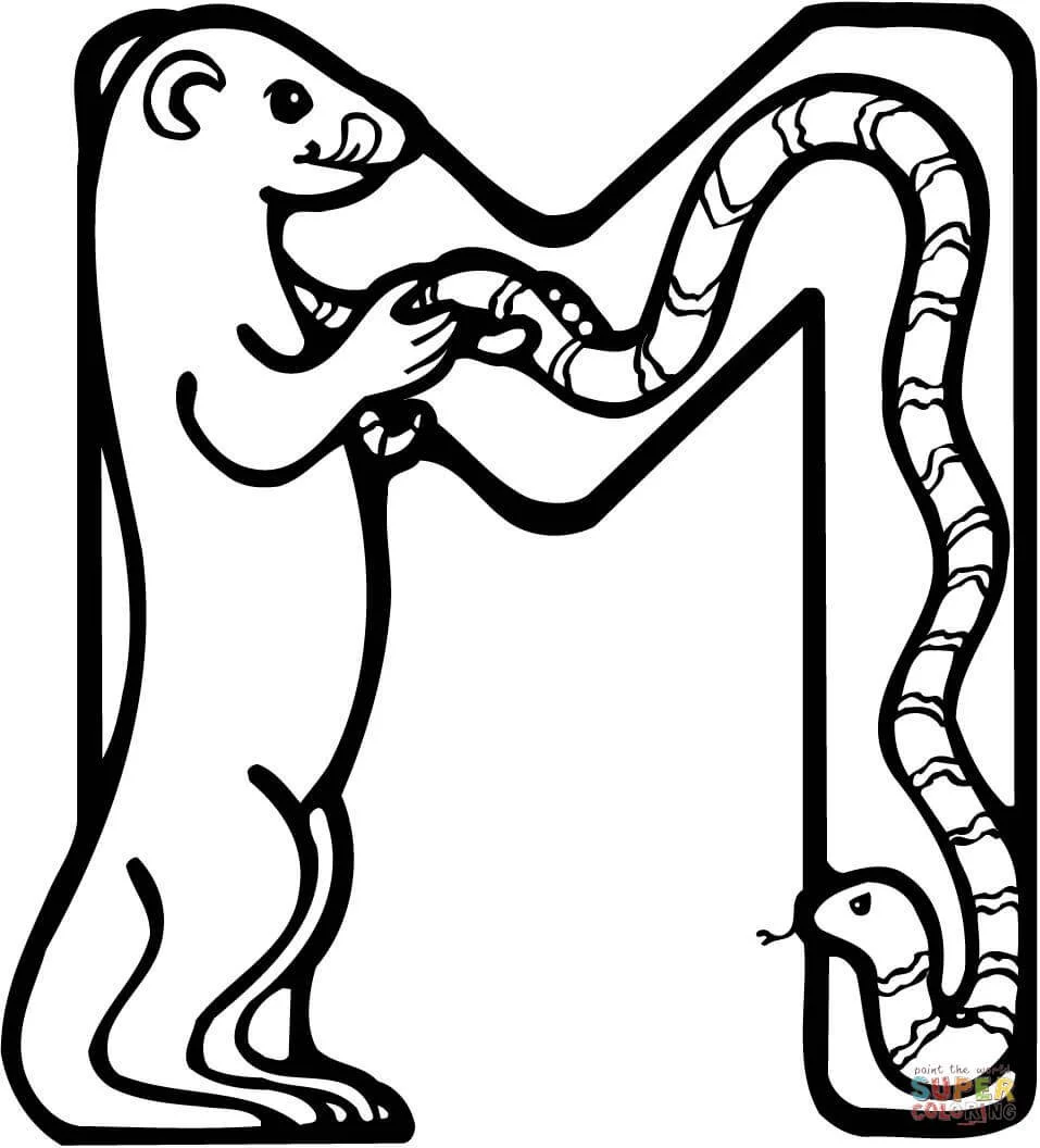 Letter M Coloring Pages 44