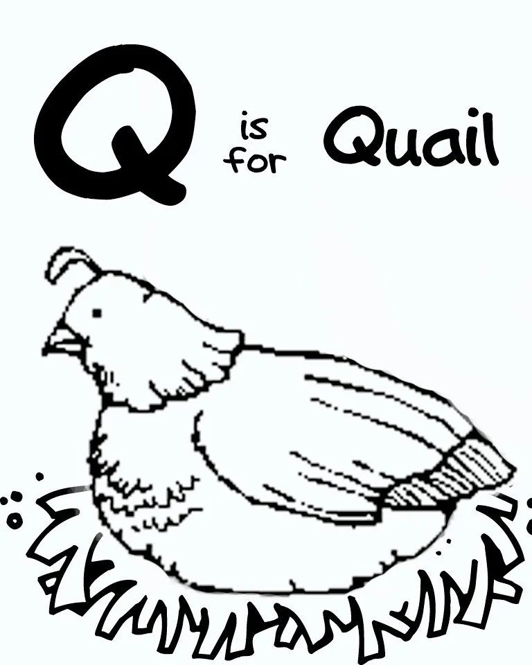 Letter Q Coloring Pages 11