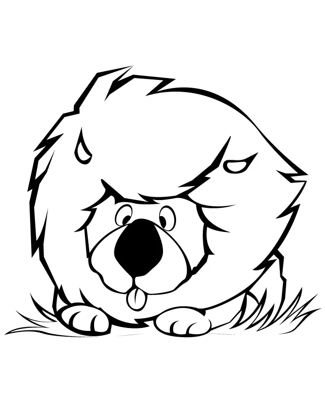 Lion Coloring Pages 123