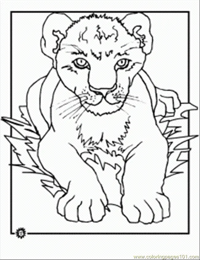 Lion Coloring Pages 74