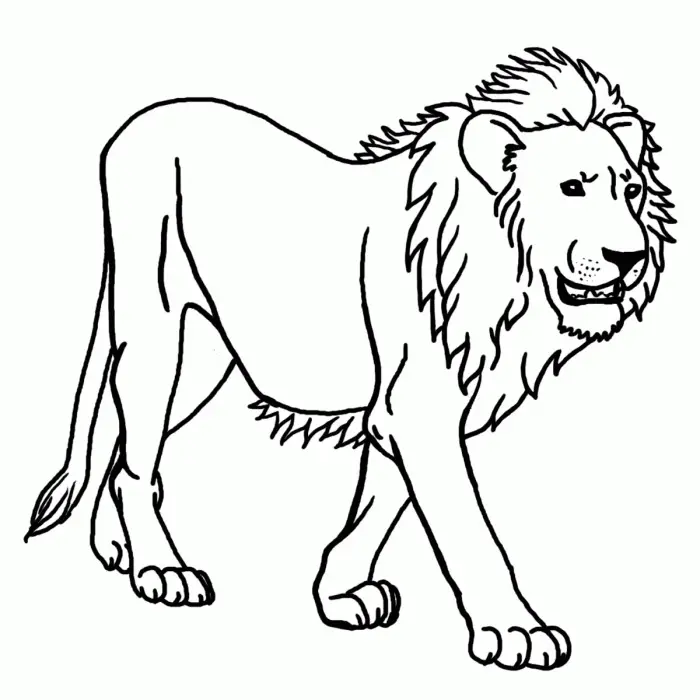 Lion Coloring Pages 91