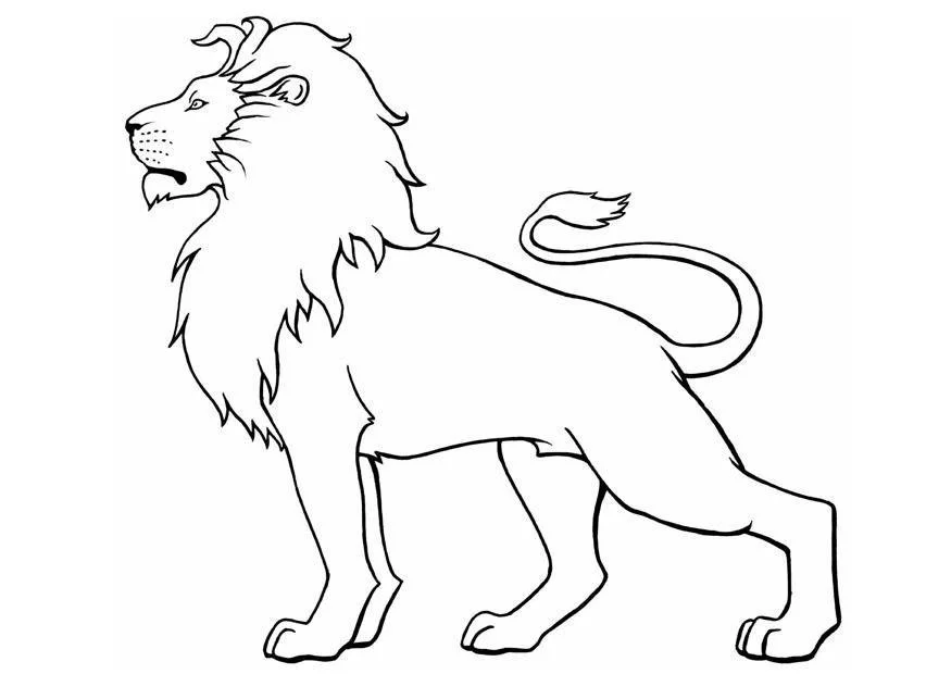 Desenhos de Lion Para Colorir 98