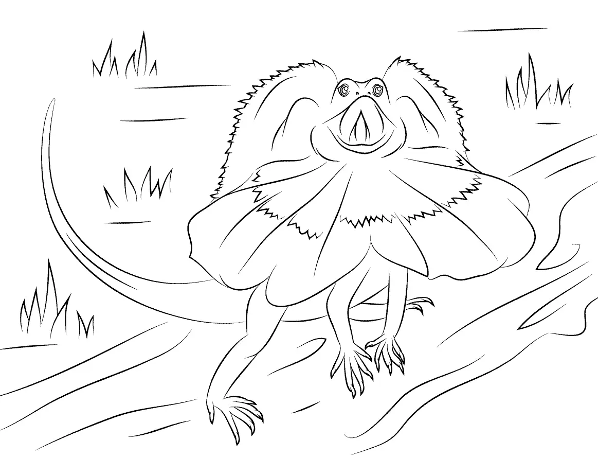 Lizard Coloring Pages 44