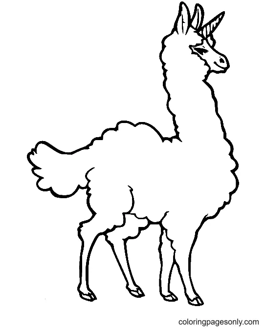 Llama Coloring Pages 15