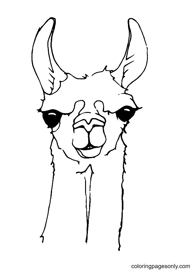 Llama Coloring Pages 32