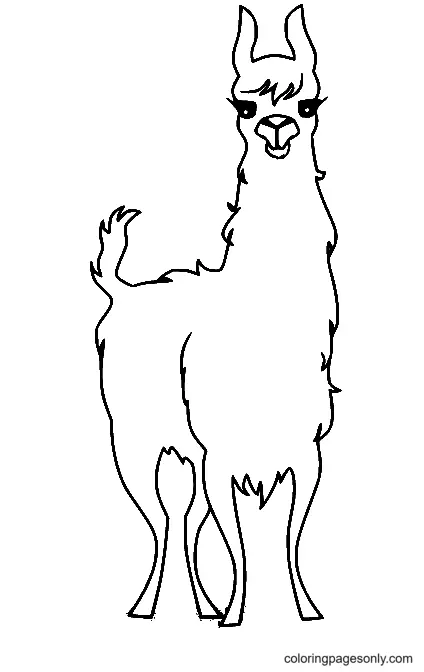 Llamas Para Colorear 50