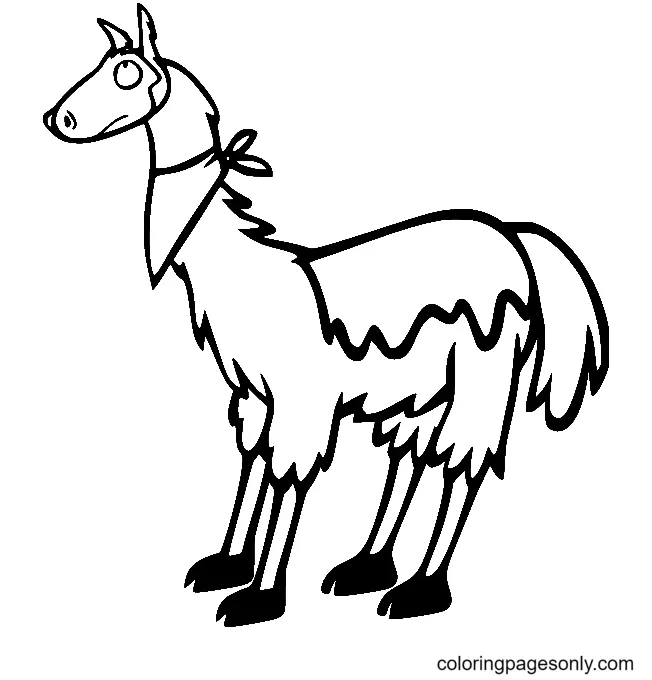 Llama Coloring Pages