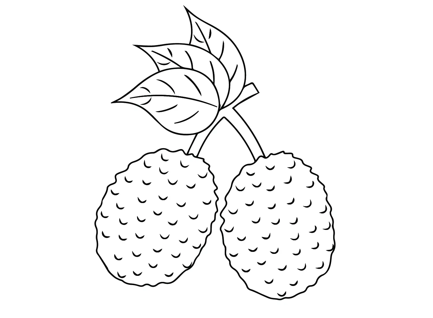 Lychee Coloring Pages 13