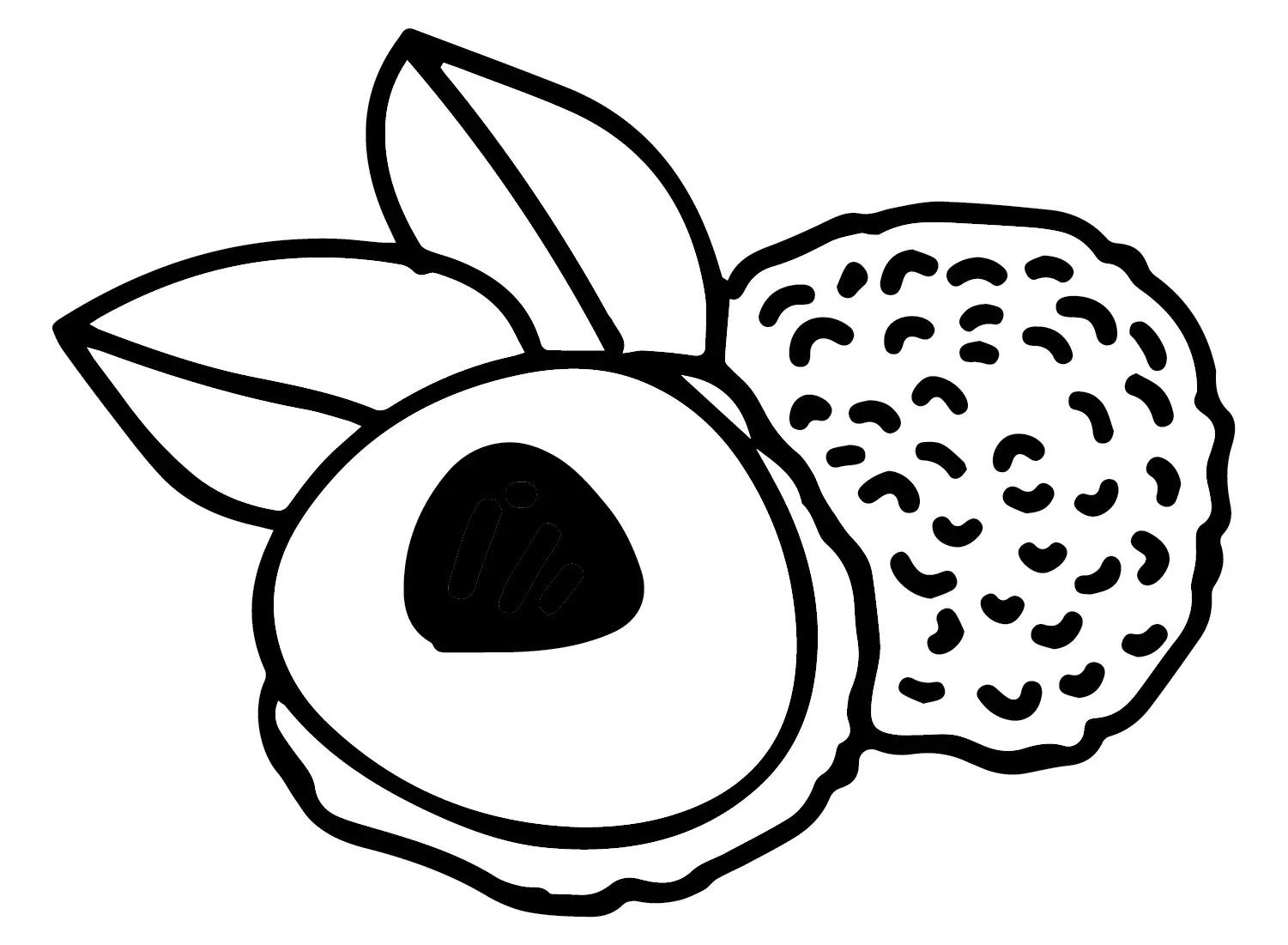 Lychee Coloring Pages 14