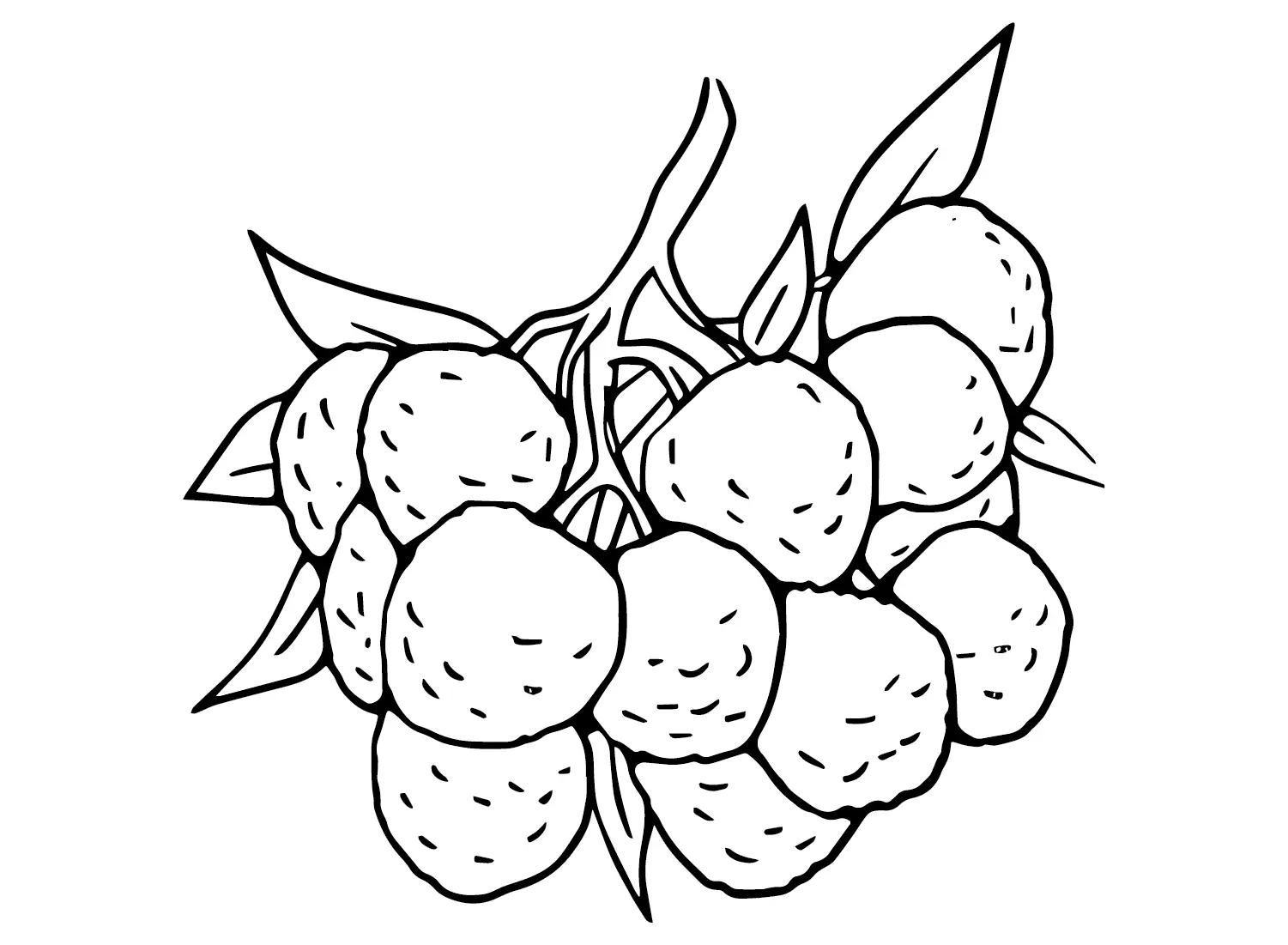 Lychee Coloring Pages 20