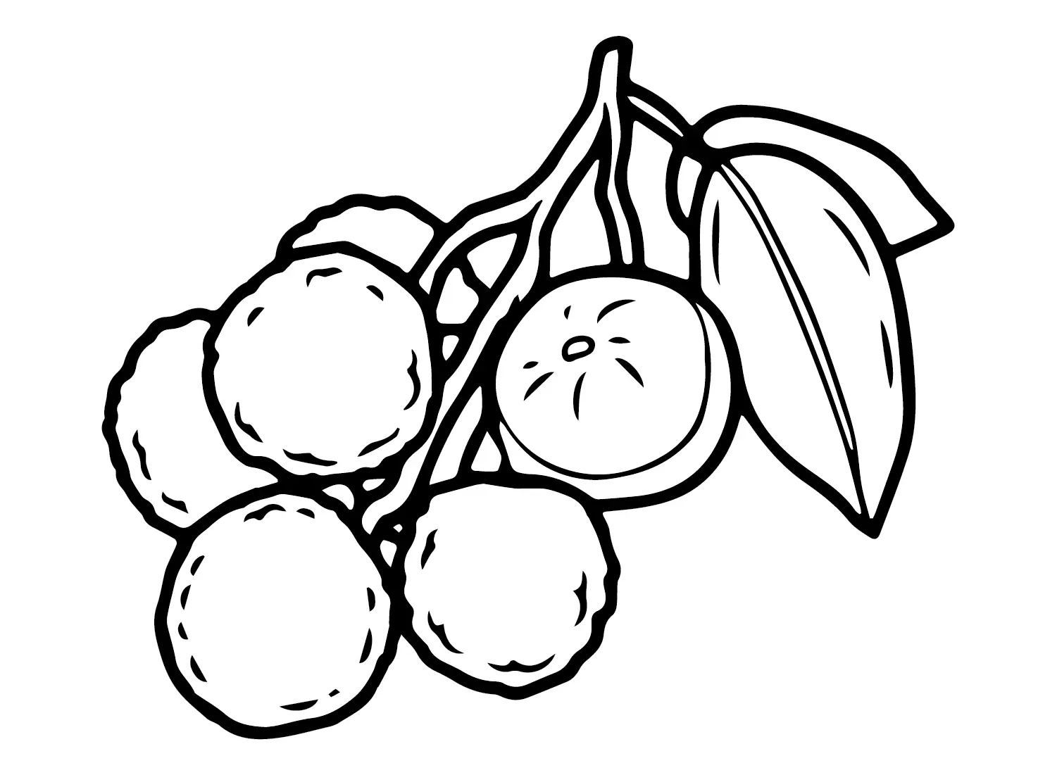 Lychee Coloring Pages 22