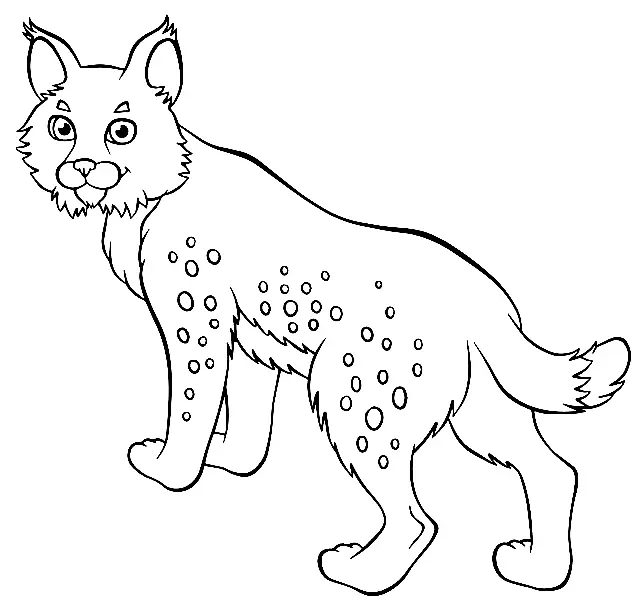 Desenhos de Lince Para Colorir 10