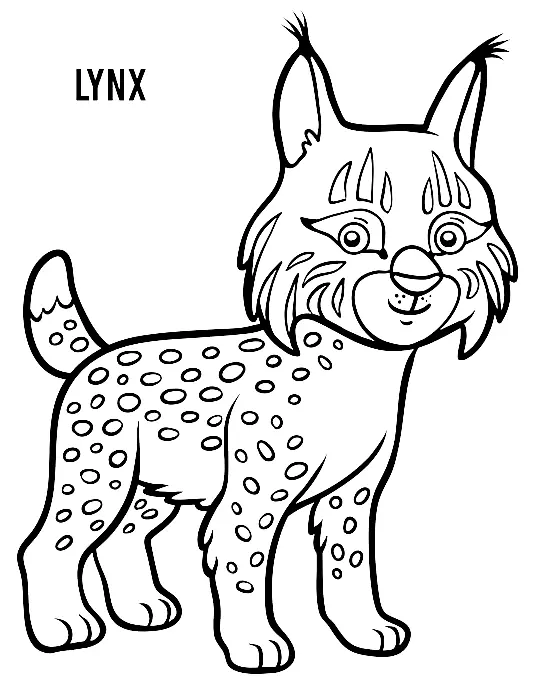 Desenhos de Lince Para Colorir 2