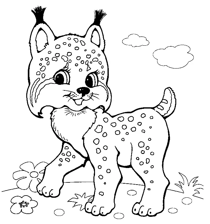 Desenhos de Lince Para Colorir 20