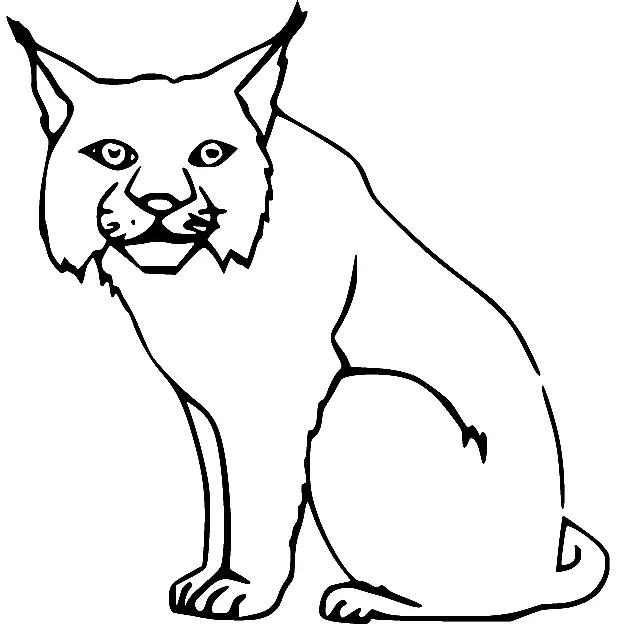 Desenhos de Lince Para Colorir 26