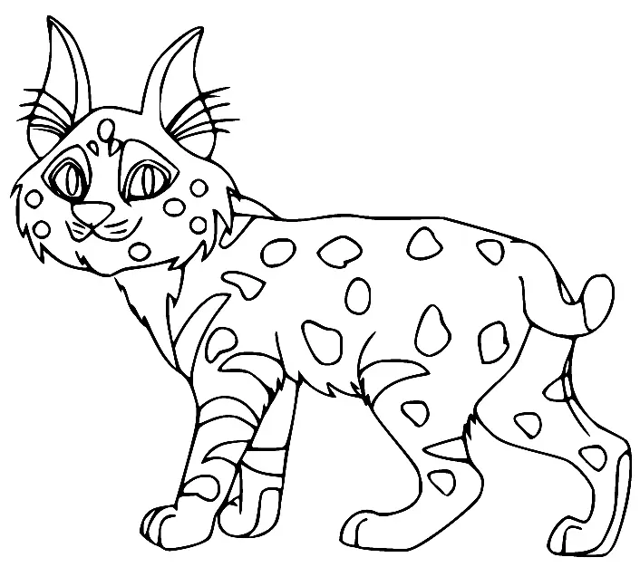 Desenhos de Lince Para Colorir 27