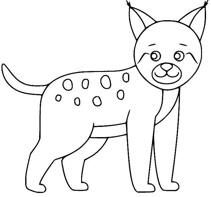 Desenhos de Lince Para Colorir 29