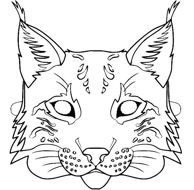 Desenhos de Lince Para Colorir 3