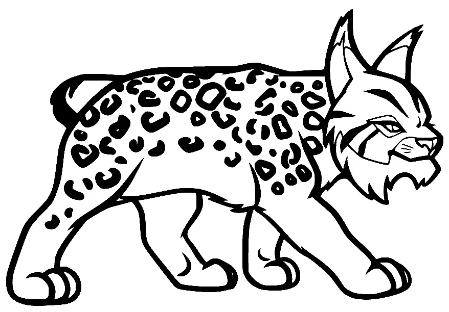 Desenhos de Lince Para Colorir 31