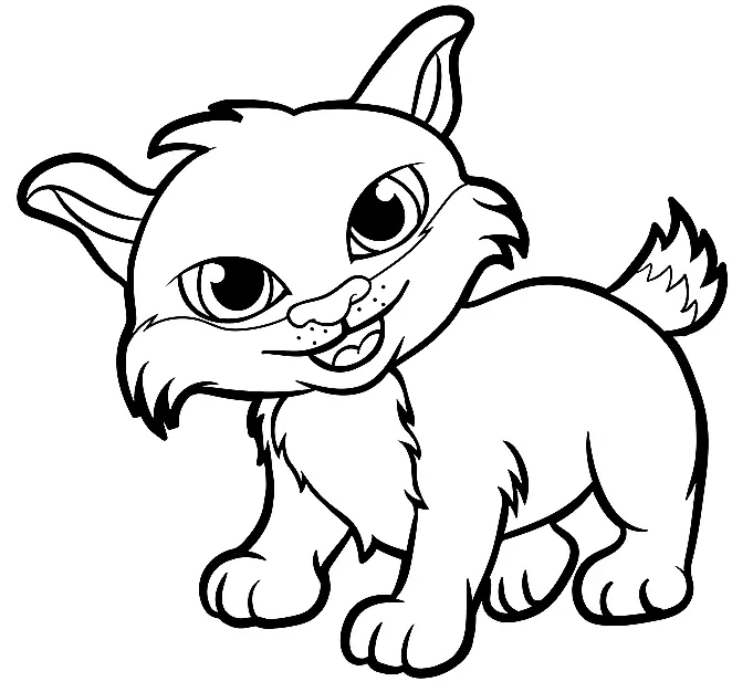 Desenhos de Lince Para Colorir 4