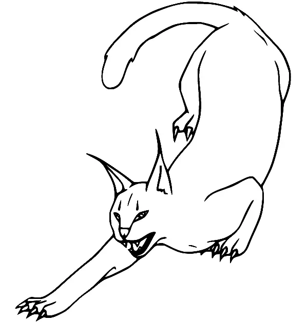 Desenhos de Lince Para Colorir 6