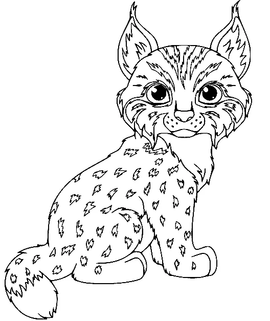 Desenhos de Lince Para Colorir 7