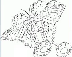 Mandala Ausmalbilder 190