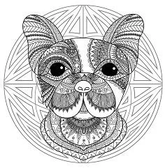 Mandala Ausmalbilder 198