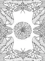 Mandala Coloring Pages 312