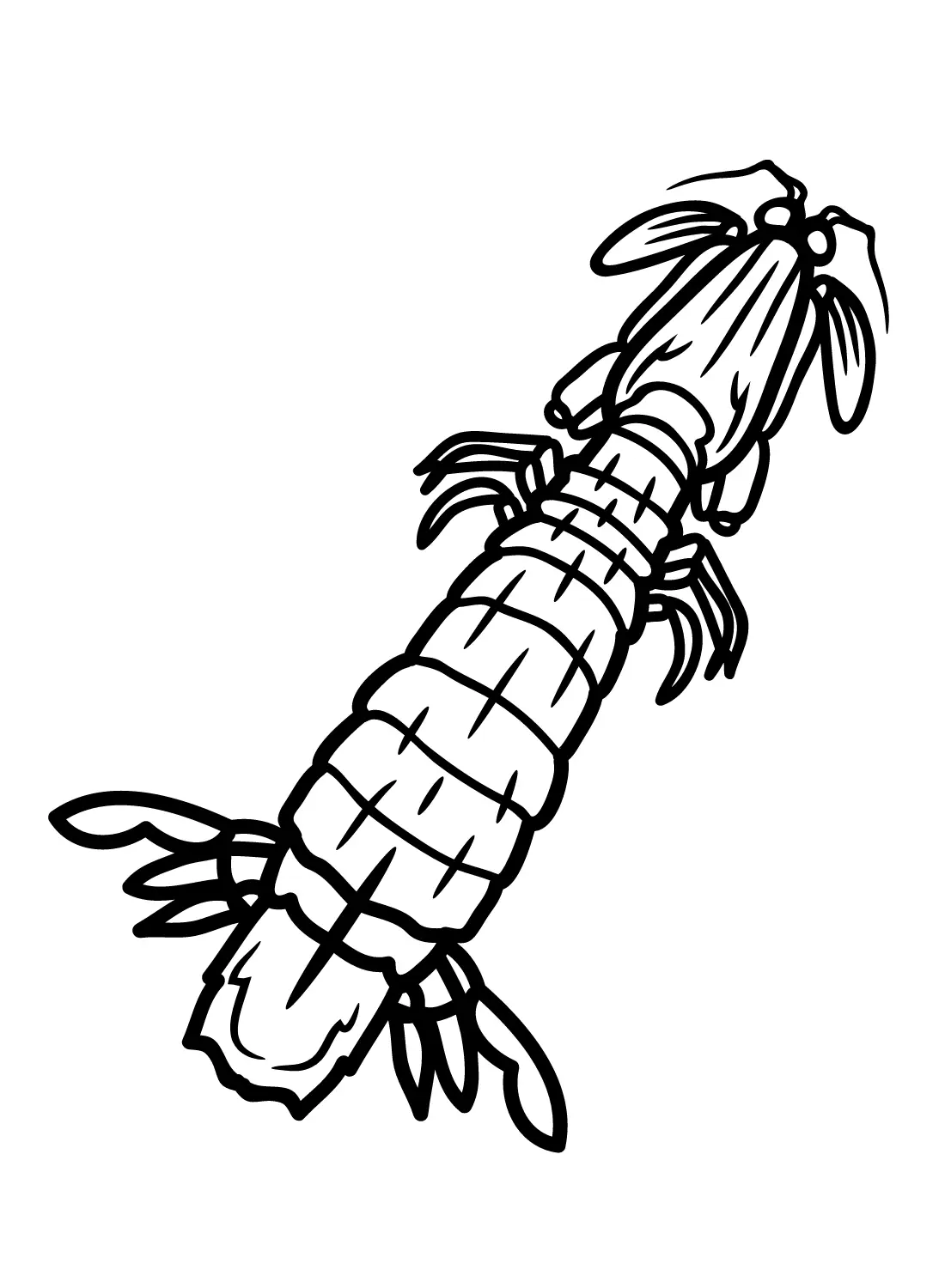 Mantis Shrimp Coloring Pages