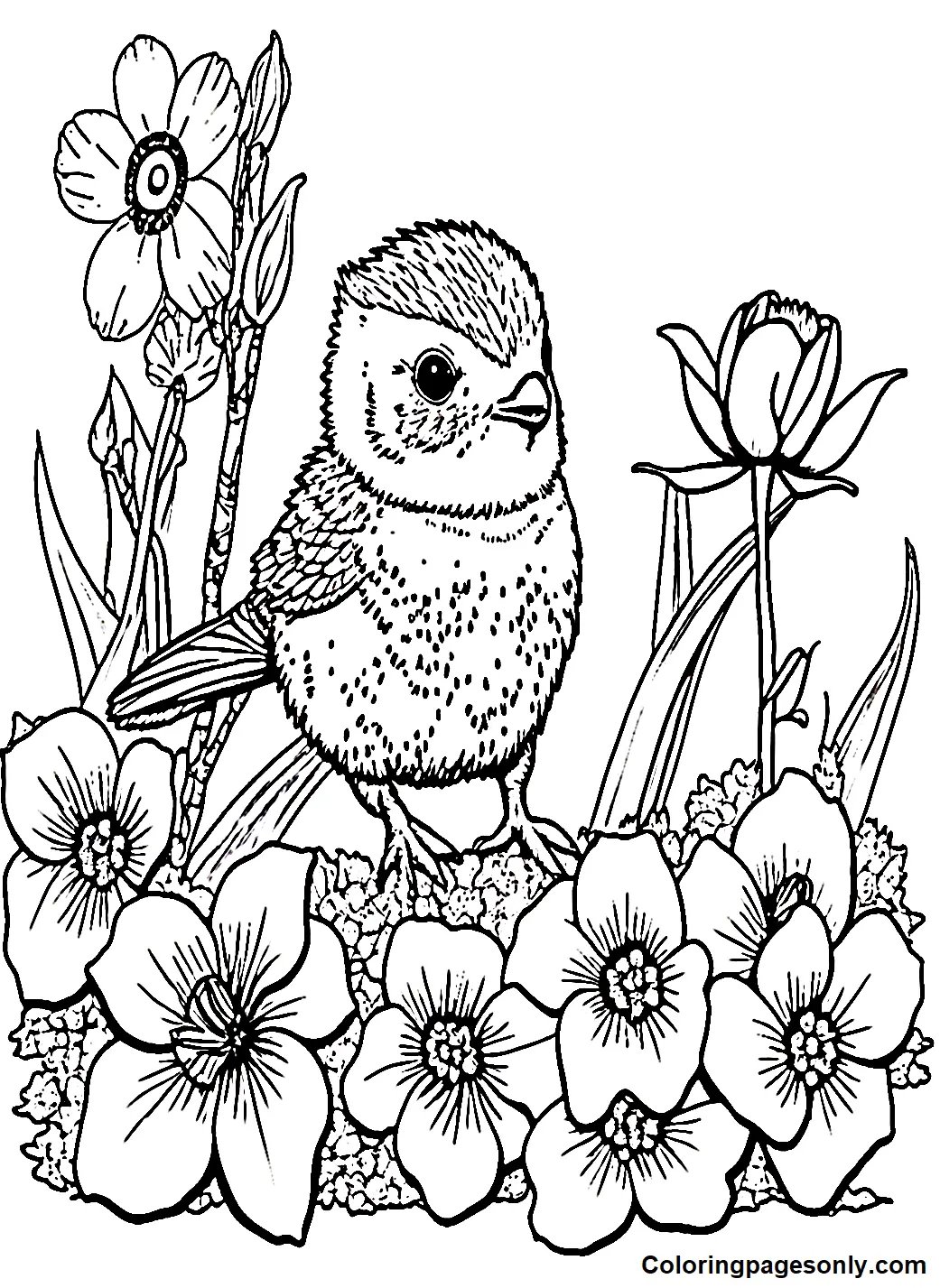 March Coloring Pages 6