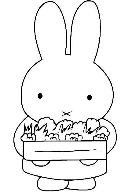 Miffy Para Colorear 68