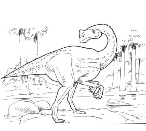 Desenhos de Misc Dinossauros Para Colorir 20