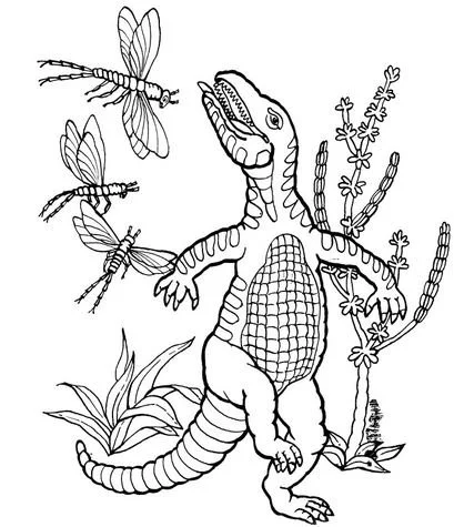 Desenhos de Misc Dinossauros Para Colorir 27