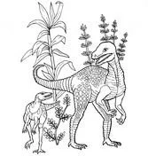 Desenhos de Misc Dinossauros Para Colorir 7