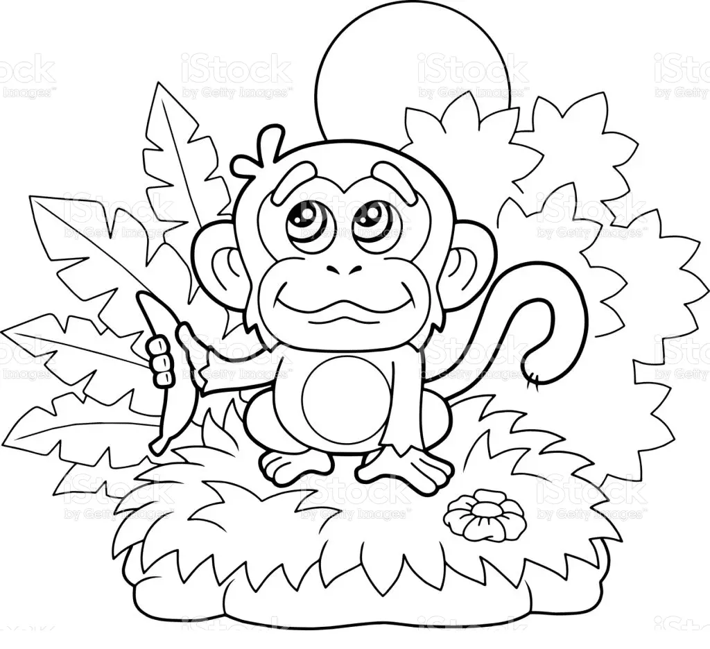 Desenhos de Monkey Para Colorir 51