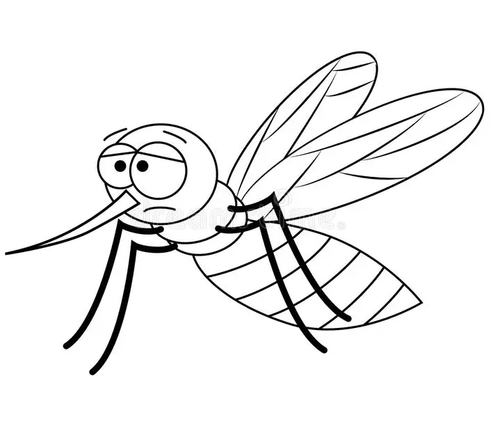 Mosquito Coloring Pages 13