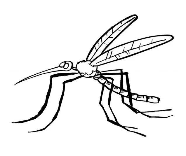 Mosquito Coloring Pages 14