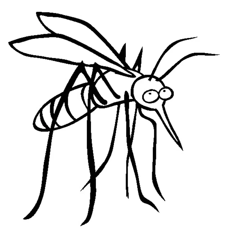 Mosquito Coloring Pages 16