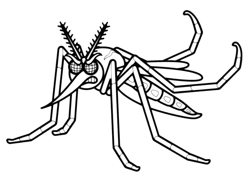 Mosquito Coloring Pages 25